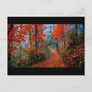 Geschilderde Waterverf voor herfst bos Briefkaart