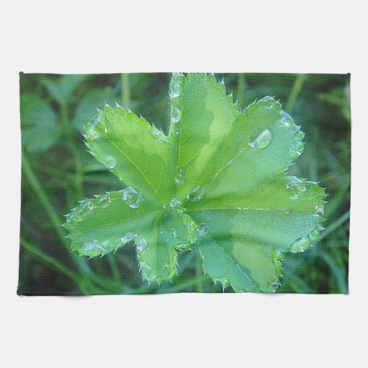 Geschirrtuch Wassertropfen auf Blatt Theedoek (Horizontaal)
