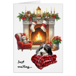Geschoren Collie-hond wacht op Kerstmis