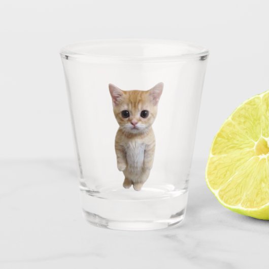 Geschoten glas El Gato Cat Meme (Voorkant)