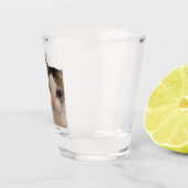 Geschoten glazen duimen omhoog OK Cat Meme (Rechts)