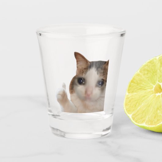 Geschoten glazen duimen omhoog OK Cat Meme (Voorkant)