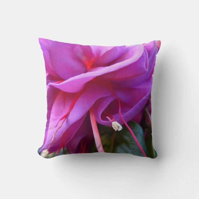 GESCHUINDE FUCHSIA KUSSEN (Voorkant)