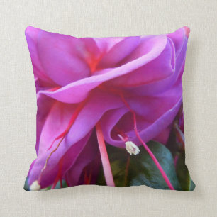 GESCHUINDE FUCHSIA KUSSEN