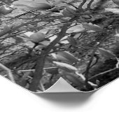 Geselecteerde bloemen poster (Hoek)