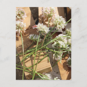 Geselecteerde voorjaarsbloemen briefkaart