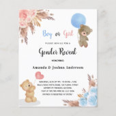 Geslacht laat zien dat er een begroting voor een p flyer (Voorkant)