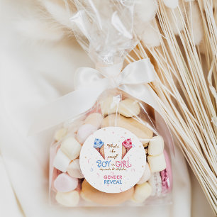 Geslacht onthullen ijsschep ronde sticker