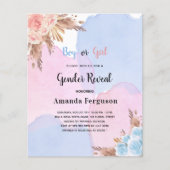 geslacht onthulling pampas gras roze blauw budget flyer (Voorkant)