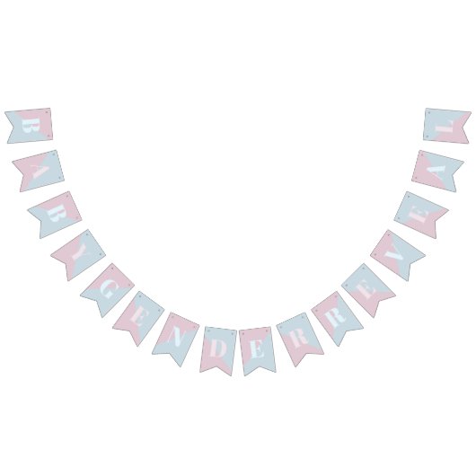 Geslacht Roze en Blauw Modern Baby shower Vlaggetjes (Alle)