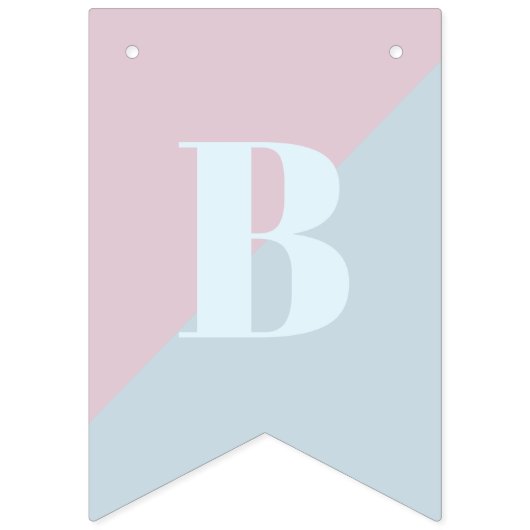 Geslacht Roze en Blauw Modern Baby shower Vlaggetjes (Eerste vlag)