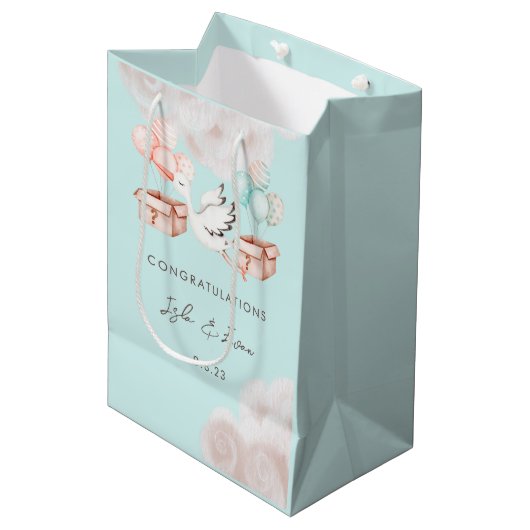 Geslacht Verhaal Gift Bag Medium Cadeauzakje (Voorkant Gekanteld)