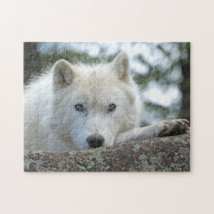GESLACHTE WOLF 11x14 INCH Legpuzzel