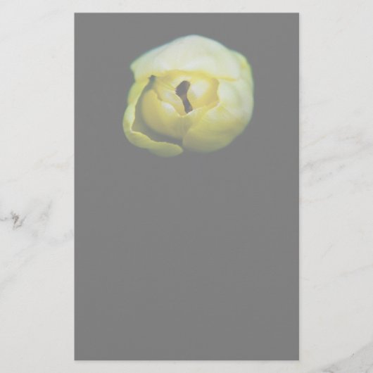 Gesloten tulp briefpapier (Voorkant)