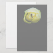 Gesloten tulp briefpapier (Voorkant / Achterkant)