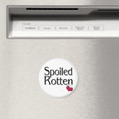 Gesmolten rotten magneet (Insitu (Vaatwasser))