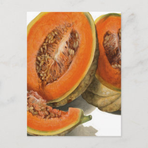 Gesneden cantaloupe meloen illustratie briefkaart