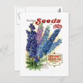 gesorteerd Delphiniums Seed Packet Briefkaart (Voorkant / Achterkant)
