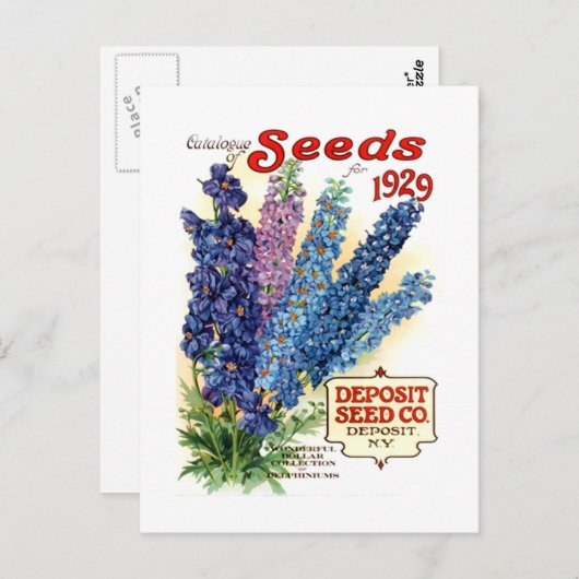 gesorteerd Delphiniums Seed Packet Briefkaart (Voorkant / Achterkant)