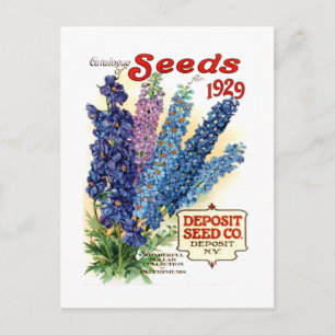 gesorteerd Delphiniums Seed Packet Briefkaart
