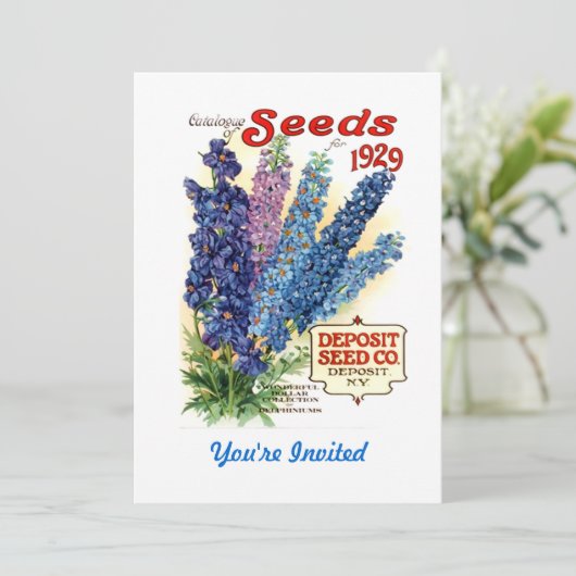 gesorteerd Delphiniums Seed Packet Kaart (Staand voorkant)
