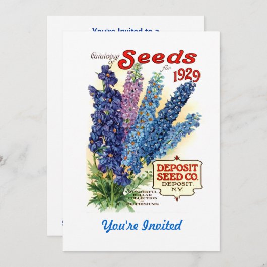  gesorteerd Delphiniums Seed Packet Kaart (Voorkant / Achterkant)