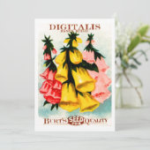 Gesorteerd Digitalis Foxglove Seed Packet Kaart (Staand voorkant)