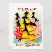 Gesorteerd Digitalis Foxglove Seed Packet Kaart (Voorkant / Achterkant)