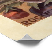  gesorteerd pakket van gepantserde zaden poster (Hoek)