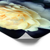 Gespiegelde gele roos in bloei Abstract Poster (Hoek)