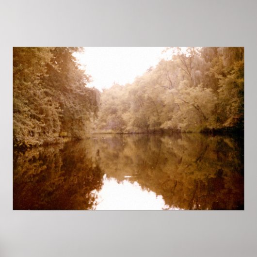 Gespiegelde Lakeview Poster (Voorkant)