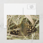 Gespikkeld Briefkaart met houten vlinder (Voorkant / Achterkant)