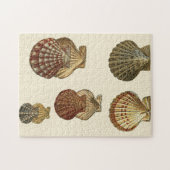 Gespikkelde Antiek schalen Legpuzzel (Horizontaal)