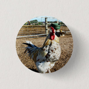 Gespikkelde Boerderij Rooster, badge Ronde Button 3,2 Cm