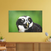 Gespikkelde boomkorren (Pulsatrix perspicillata) Canvas Afdruk (Insitu (Woonkamer))