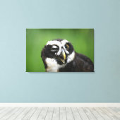 Gespikkelde boomkorren (Pulsatrix perspicillata) Canvas Afdruk (Insitu (Houten vloer))