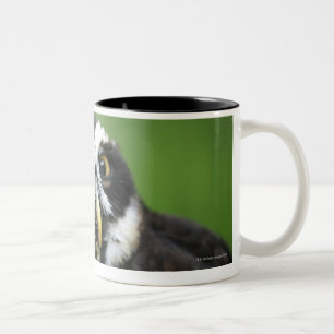 Gespikkelde boomkorren (Pulsatrix perspicillata) Tweekleurige Koffiemok