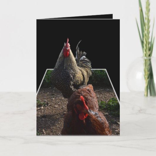 Gespikkelde fluffy Rooster met HEN, Kaart (Voorkant)