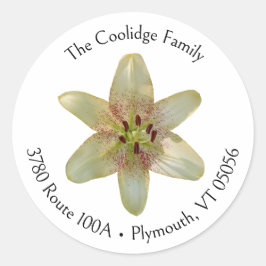 Gespikkelde gele lelie bloem rond adreslabel ronde sticker