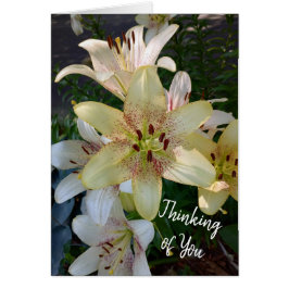 Gespikkelde Gele Lelie Bloemen Denken aan U Kaart