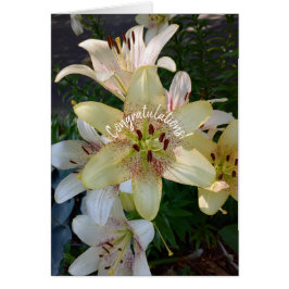 Gespikkelde Gele Lelie Bloemen Gefeliciteerd Kaart