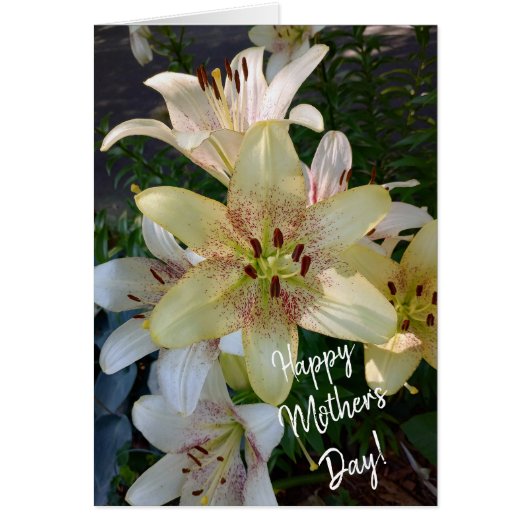 Gespikkelde Gele Lelie Bloemen Moederdag Kaart (Voorkant)