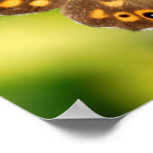 Gespikkelde houten vlinder poster (Hoek)