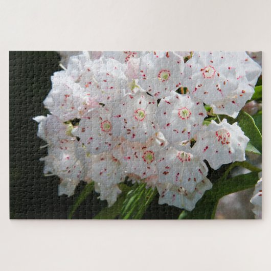Gespikkelde paraplu legpuzzel (Horizontaal)