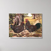 Gespikkelde Sussex Haan en Hen in bosrijke omgevin Canvas Afdruk (Voorkant)