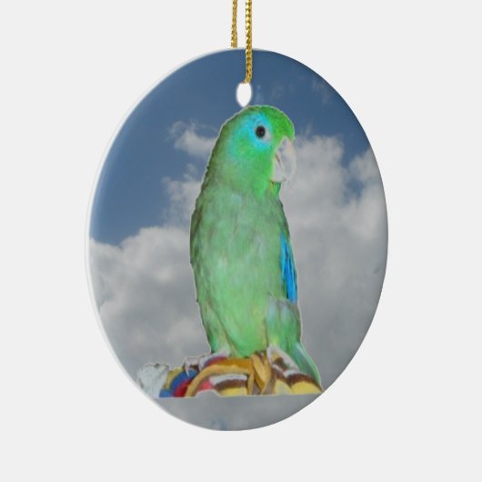 Gespitste Parrotlet Keramisch Ornament (Rechts)