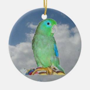 Gespitste Parrotlet Keramisch Ornament