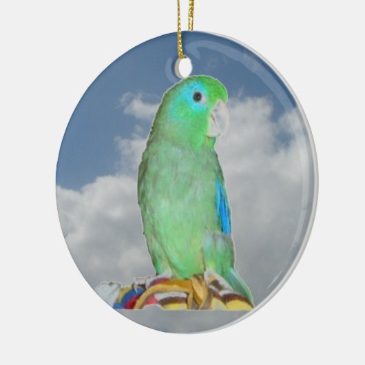 Gespitste Parrotlet Keramisch Ornament (Links)