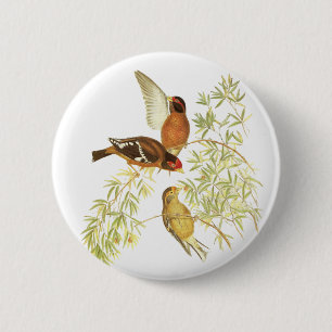 Gespitste vink ronde button 5,7 cm