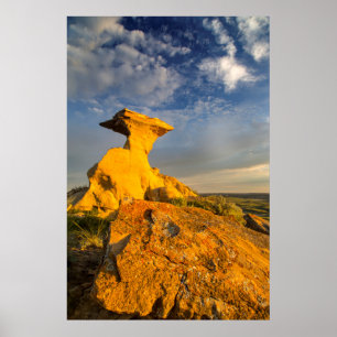 Gesplitste badlandformatie in kortegras poster